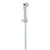 Набор для гигиенического душа Grohe Tempesta-F Trigger Spray 30 27513001